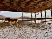 Anonymous Donor Pledges $75K Match for WETRA Fundraising Campaign