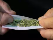 Arbitrator Reinstates Toronto Heavy Machine Operator Fired for Alleged Lunchtime Cannabis Use