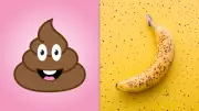 Banana-Shaped Stool: A Surprising Indicator of Gut Health and Colon Wellness