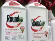 Bayer Proposes $10.25 Billion Settlement for Roundup Cancer Lawsuits