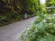 B.C. Government Seeks to Forfeit Alberta Man's Vehicle Used in Car Break-In Spree