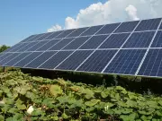 B.C. Solar Project Enters Environmental Review, Exempt from Fast-Track Process