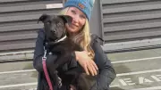British Columbia Woman Embraces Viking Spirit in Mission to Rescue Dogs