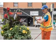 Calgary Committee Unanimously Approves Special Tax Levy for Enhanced Community Maintenance