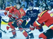 Calgary Dinos and MRU Cougars Face High-Stakes Playoff Battles This Week