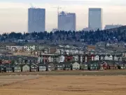Calgary's Higher-Density Housing Market Slows in January 2026, CREB Reports