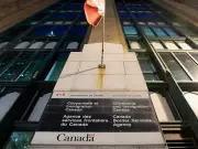 Canada's Broken Immigration System: Calls for Reform Amidst Backlog and Costs