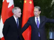 Carney's China Parliamentary Exchange Proposal Faces Sanctions Dilemma