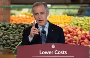 Carney's Global Acclaim Contrasts with Domestic Food Price Struggles