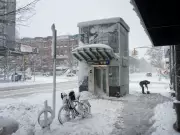 Climate Change Reality: Extreme Weather and Global Impacts Demand Action