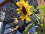 Edmonton Authors Reveal Their Unique Writing Spaces and Rituals