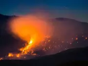 Enhanced Government Coordination Key to B.C.'s Wildfire Resilience Strategy