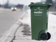 Essex County Considers Relief from Green Bin Fees Amid Economic Concerns