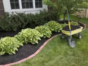 Expert Tips for Defining Raised Garden Beds and Solving Coastal Soil Issues