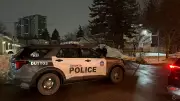 Five Hospitalized, Three with Stab Wounds, After North York Incident: Officials