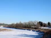 Fort Macleod's Historic Milestone: First Traffic Light Signals Growth