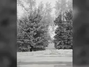 Frost and Rain Cause Widespread Power Outages for 1,400 Manitoba Hydro Customers in Winnipeg