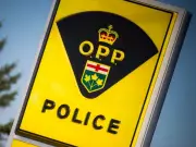 Gatineau Man Dies in Highway 401 Crash Near Gananoque, Transport Truck Involved