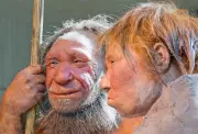 Genetic Study Uncovers Intricate Details of Ancient Human-Neanderthal Interbreeding