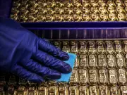 Gold Surges Back to $5,000 as Traders Eye Federal Reserve Interest Rate Moves