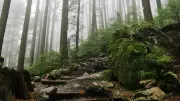 Grouse Grind Opens Early in Vancouver Due to Unseasonably Warm Winter Weather