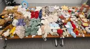 Guelph Woman Charged in $15K Jellycat Plush Toy Theft Spree Across Ontario