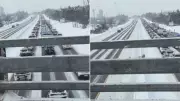 Highway 400 Near Barrie Paralyzed by Jackknifed Tractor-Trailer, Causing Major Gridlock