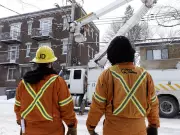 Hydro-Québec Reports Strong 2025 Results: Revenue Up, Outages Down