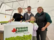 Hydroponic Lettuce Farm in Mississippi Mills Cultivates Canadian Dream