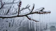 Kitchener Braces for Midweek Winter Blast: Freezing Rain and Snow Forecast