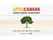 Little Canada's March Break Workshop: Build Mini Trees to Grow Real Forests