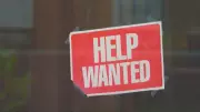London, Ontario Sees Unemployment Rate Increase Across Region in Latest Data