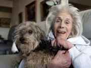 Lost Dog Homer Returns Home After 80 Days Across Montreal