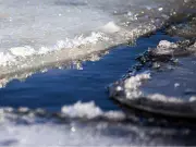 Man and Dog Rescued from Rideau River Ice in Barrhaven