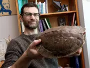 Map Turtle Hibernation Study Reveals Predator Threat to Vulnerable Species