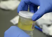 McGill Researchers Develop Efficient Method to Convert Human Urine into Renewable Energy