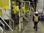 McGill Study Reveals Higher Urine Concentrations Boost Clean Energy Generation