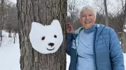 Meet the 'Bear Lady': Ottawa Artist Creates Snow Bear Sculptures Along River