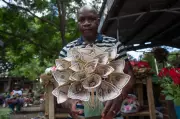 Money Bouquets Challenge Traditional Flowers as Valentine's Day Gifts in Zimbabwe