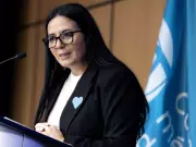 Montreal and Quebec City Municipalities Urge Province to Restore PEQ Immigration Program