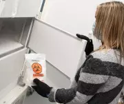 Montreal Research: Gut Bacteria Removal Boosts Cancer Immunotherapy