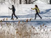 Montreal Weather: Flurries to Clear Skies with Overnight Chill
