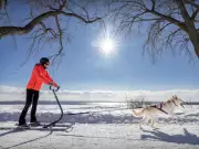 Montreal Weather Forecast: Sunny Sunday Offers Vitamin D After Long Winter
