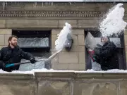 Montreal's False Spring: Marmotte's Early Prediction Falls Short