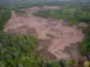 National Conservancy Secures 91 Hectares of Ottawa Wetlands for Flood Protection