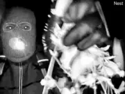 New Bitcoin Ransom Note Emerges in Nancy Guthrie Kidnapping Case