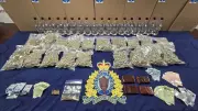 Nova Scotia RCMP Arrests Two, Seizes Cannabis and Unstamped Tobacco in James River Traffic Stop