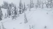 One Person Killed in Avalanche Near Fernie, B.C., Avalanche Canada Reports