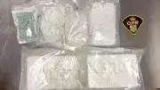 OPP Seizes $119K in Cocaine and Oxycodone After Highway 17 Traffic Stop