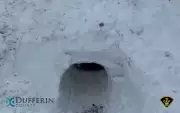 OPP Warns Against Building Snow Forts Near Roads for Safety